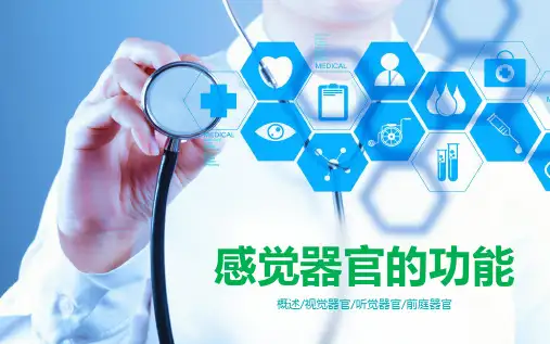 生理学课程教学课件：第一章 感觉器官