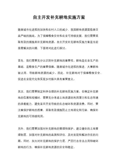 自主开发补充耕地实施方案