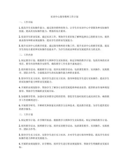 实训中心指导教师工作计划