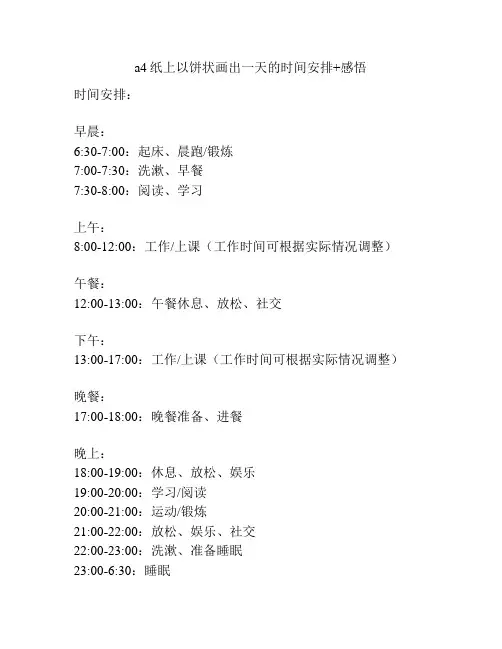 a4纸上以饼状画出一天的时间安排+感悟