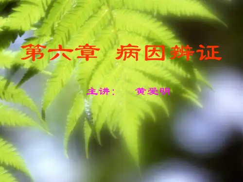第六章病因辨证讲课教案