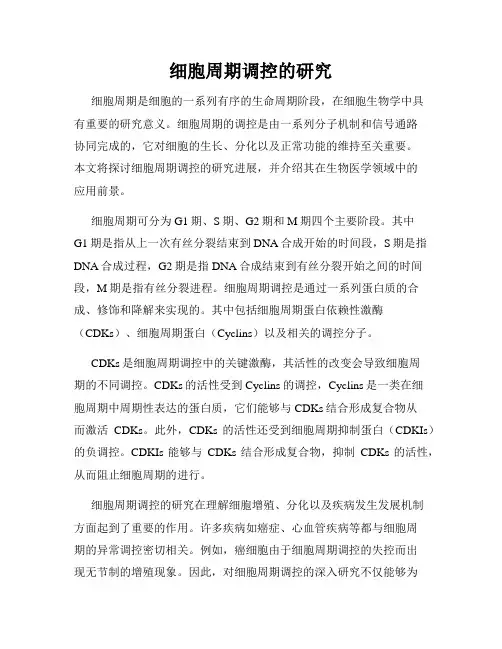 细胞周期调控的研究