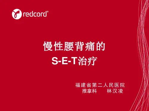 慢性腰背痛的S-E-T治疗