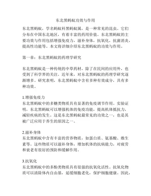 东北黑蚂蚁功效与作用