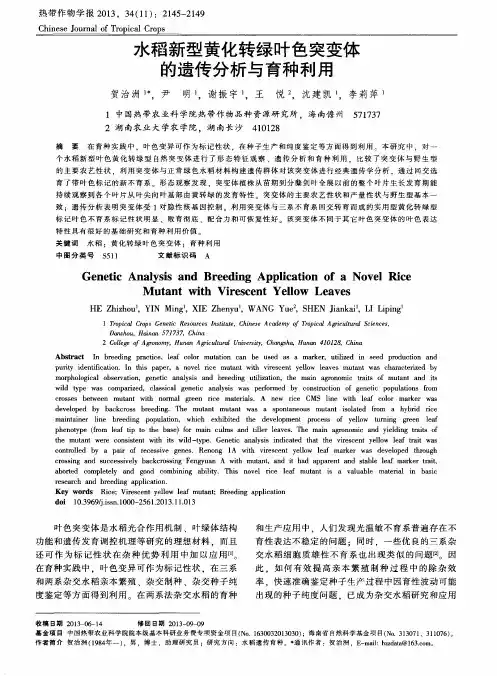 水稻新型黄化转绿叶色突变体的遗传分析与育种利用