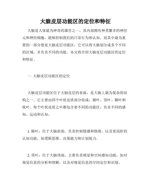 大脑皮层功能区的定位和特征