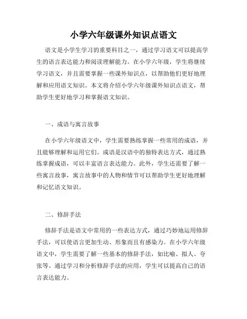 小学六年级课外知识点语文