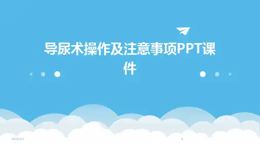 2024版年度导尿术操作及注意事项PPT课件