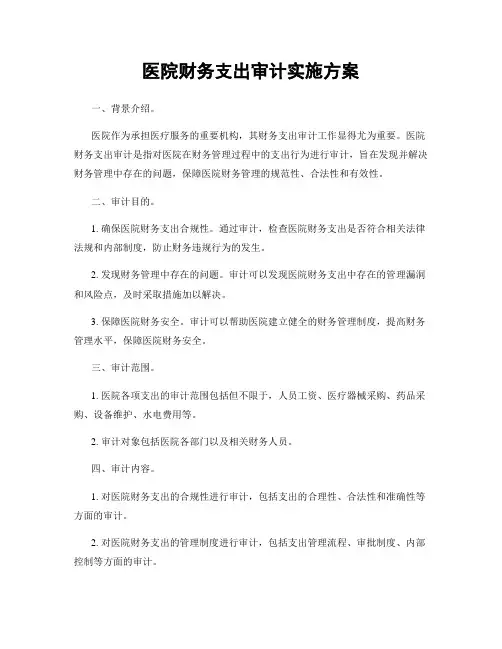 医院财务支出审计实施方案