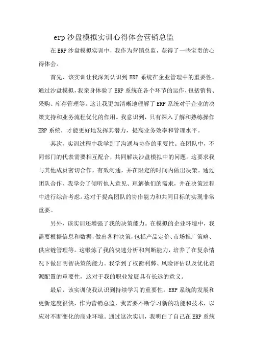 erp沙盘模拟实训心得体会营销总监