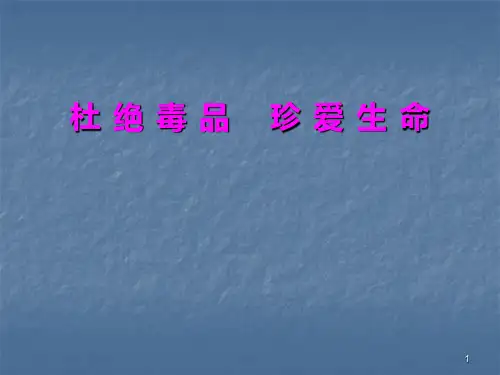 禁毒法制授课ppt课件