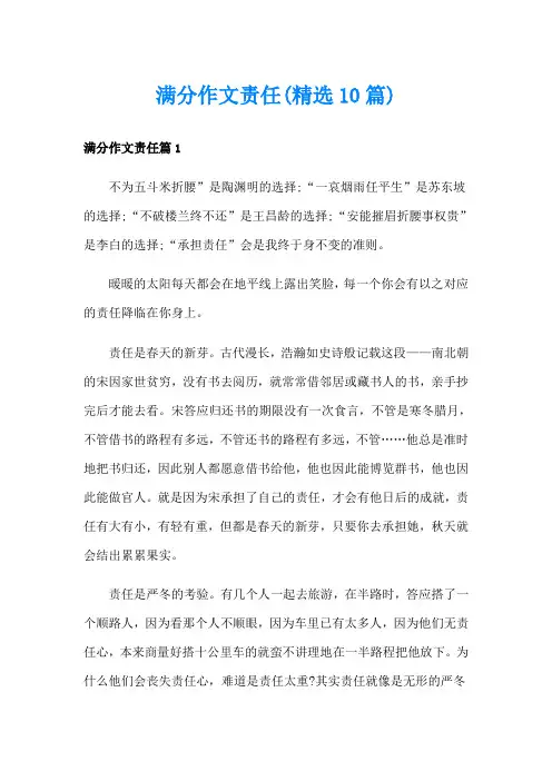 满分作文责任(精选10篇)