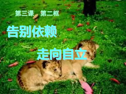 告别依赖走向自立ppt