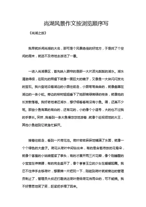 尚湖风景作文按浏览顺序写