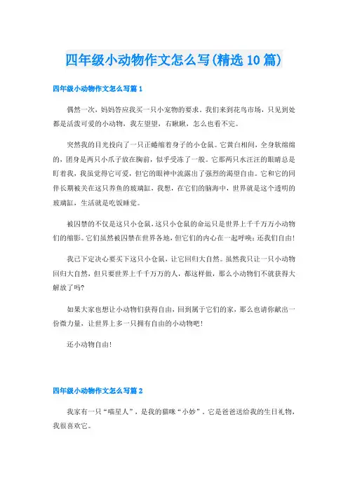 四年级小动物作文怎么写(精选10篇)