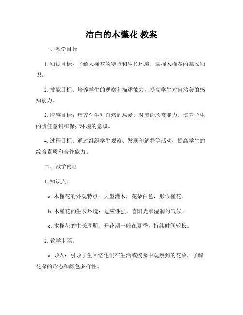 洁白的木槿花 教案