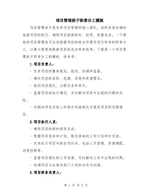 项目管理班子职责分工模版
