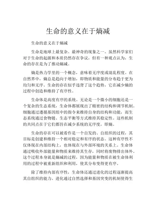 生命的意义在于熵减
