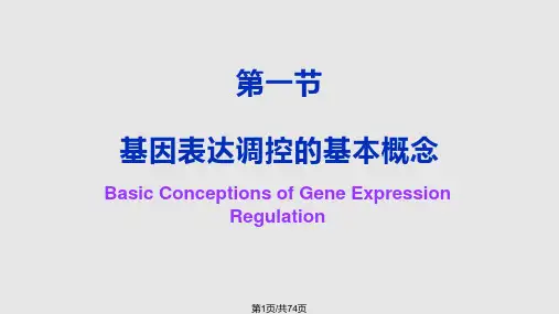 基因表达调控原理PPT课件