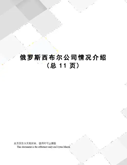 俄罗斯西布尔公司情况介绍