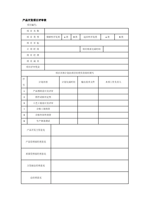 产品开发项目评审表
