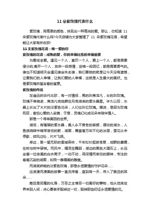 11朵紫玫瑰代表什么
