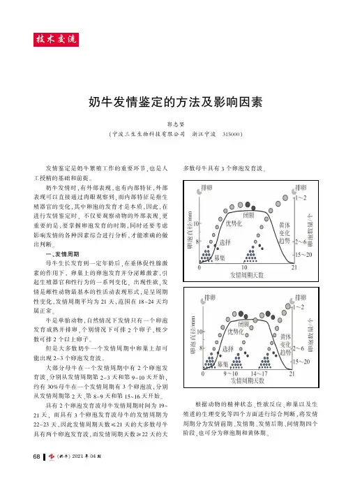 奶牛发情鉴定的方法及影响因素