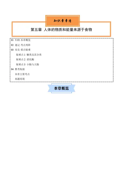 第五章人体的物质和能量来源于食物2