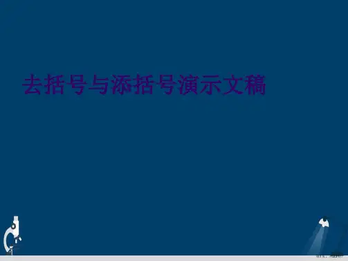 去括号与添括号演示文稿