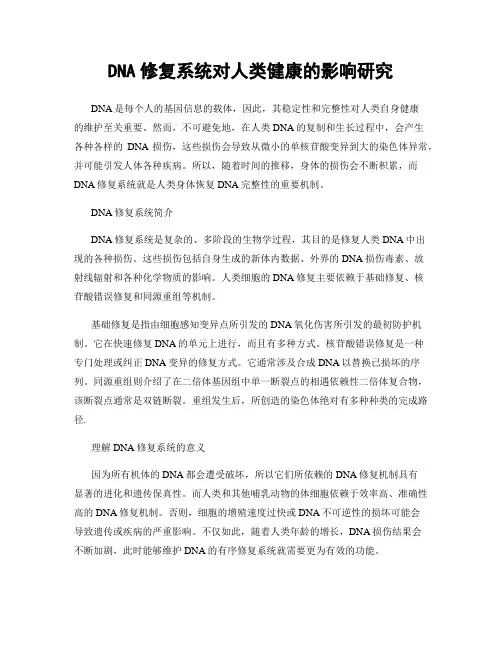 DNA修复系统对人类健康的影响研究