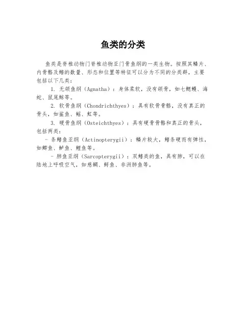 鱼类的分类