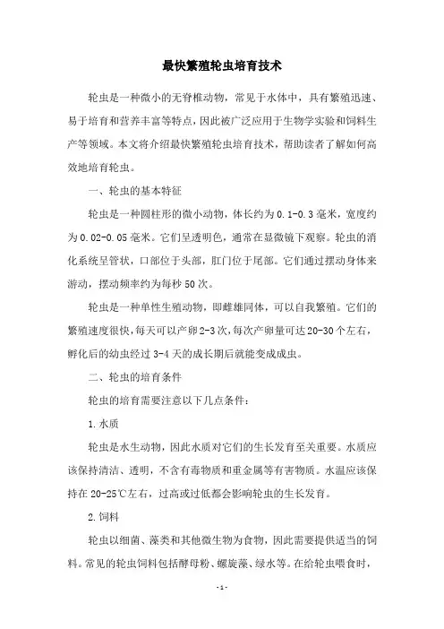 最快繁殖轮虫培育技术