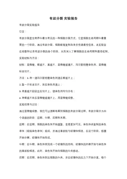 有丝分裂 实验报告