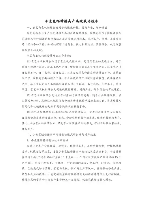 小麦宽幅精播高产高效栽培技术