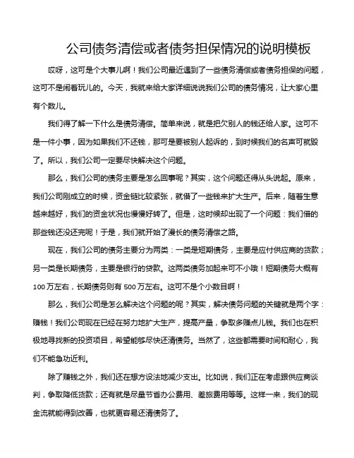 公司债务清偿或者债务担保情况的说明模板