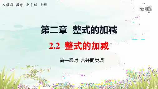 2.2.1合并同类项  课件 2023—-2024学年人教版数学七年级上册