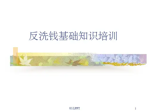 反洗钱基础知识培训讲义