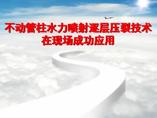不动管柱水力喷射逐层压裂技术在现场成功应用