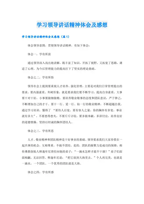 学习领导讲话精神体会及感想