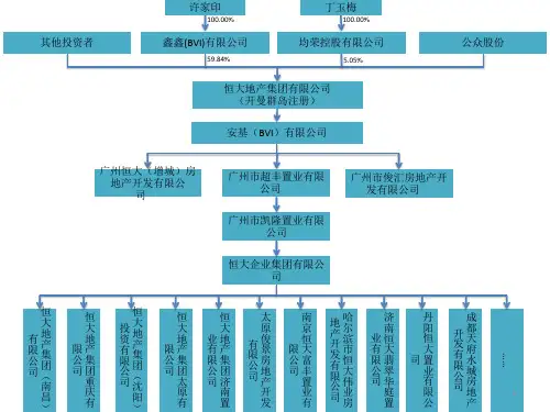 恒大集团股权结构图ppt课件
