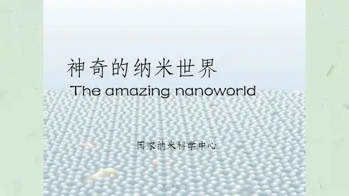 神奇的纳米世界课件