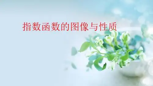 北师大版高中数学必修1《三章 指数函数和对数函数  3.2 指数函数y=2^x和y=(1%2)^x的图像和性质》示范课件_4