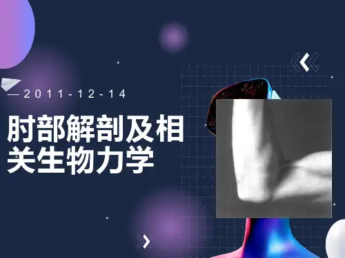 肘部解剖及相关生物力学