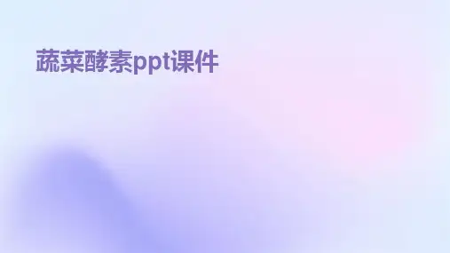 蔬菜酵素ppt课件