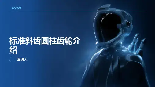 标准斜齿圆柱齿轮介绍