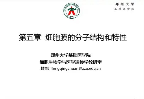 第五章  细胞膜的分子结构和特性