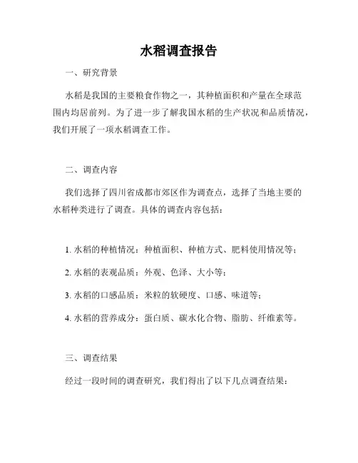 水稻调查报告