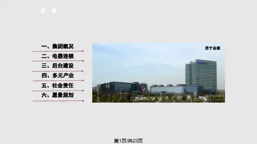 苏宁电器集团简介中文PPT课件