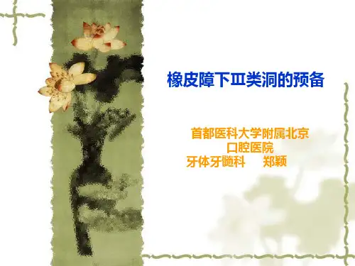 橡皮障下的三类洞预备PPT课件