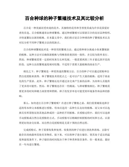 百合种球的种子繁殖技术及其比较分析